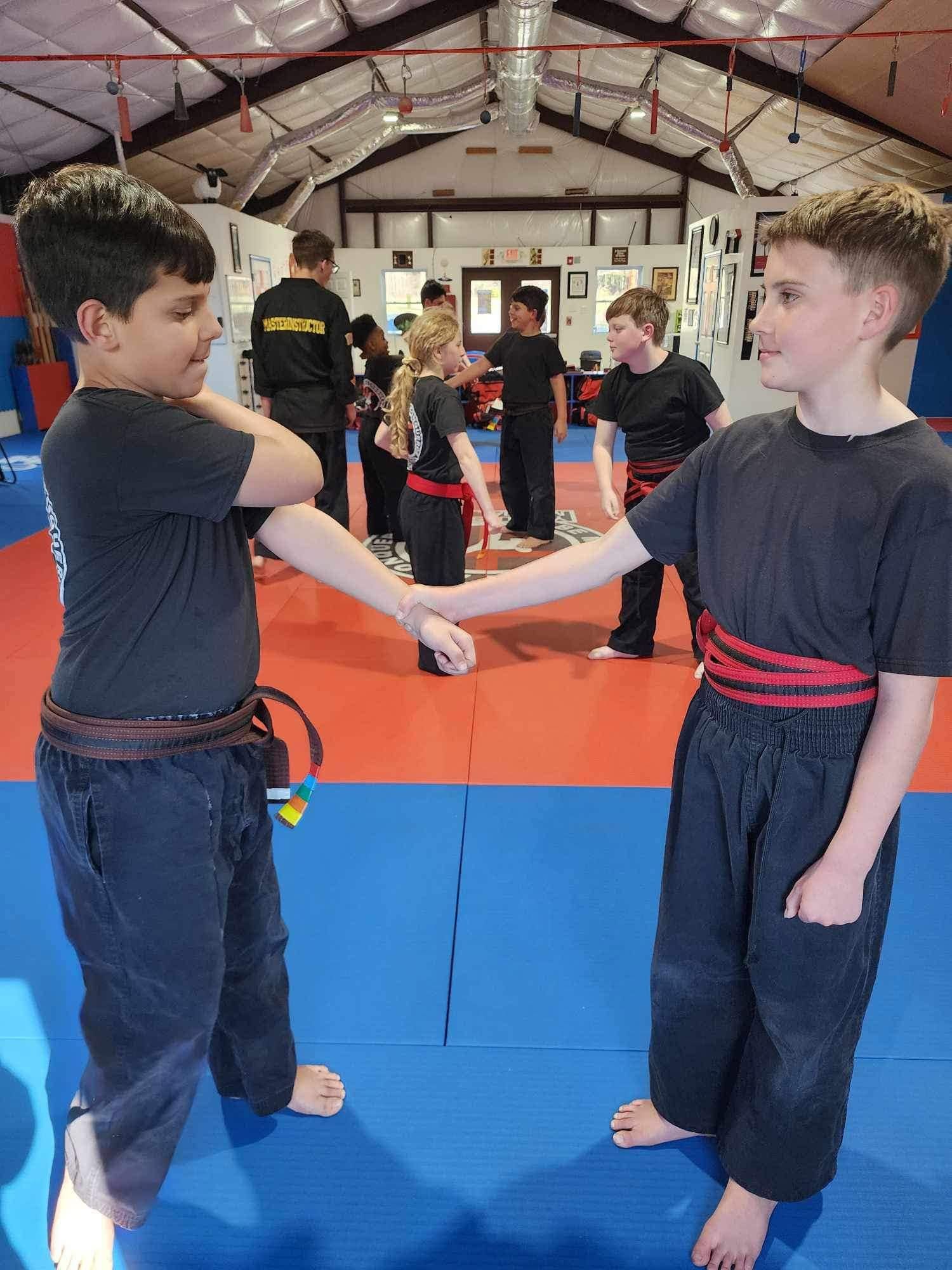 Kids martial arts class training together on the dojo mat